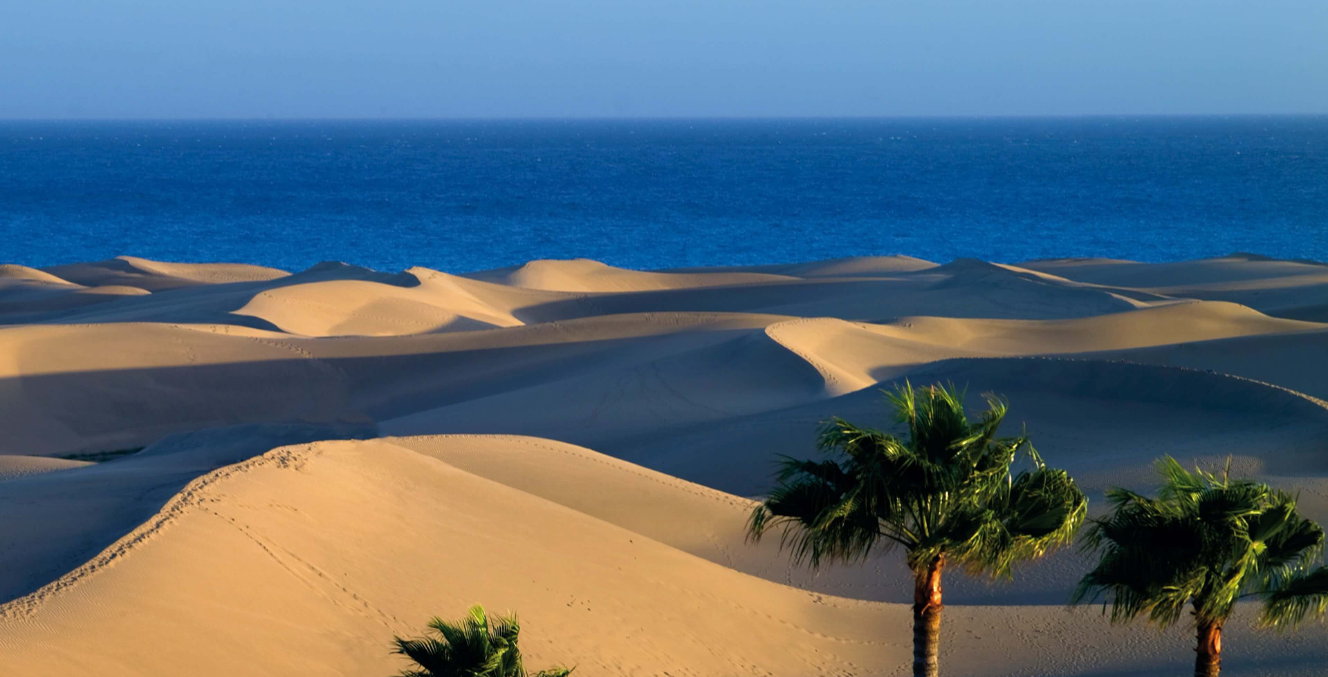 Inmobiliaria Central Eurocasa